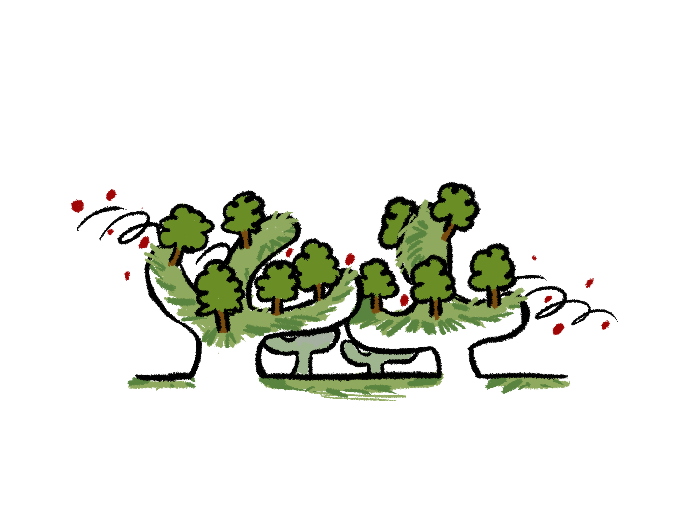 Figure 23: Forest