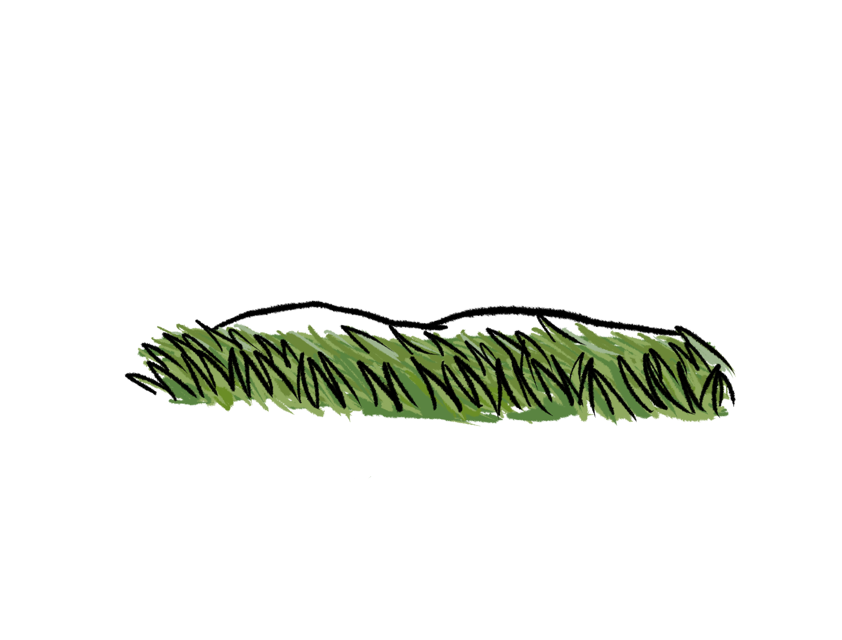 Figure 24: Grassland